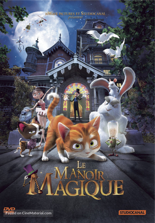 Thunder and The House of Magic - French DVD movie cover