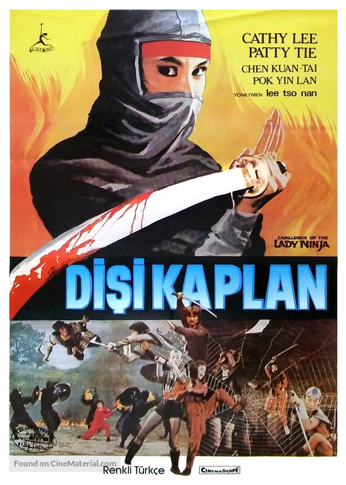 Lang nu shen long jian - Turkish Movie Poster