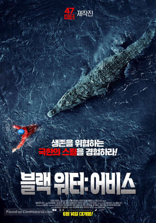 Black Water: Abyss - South Korean Movie Poster
