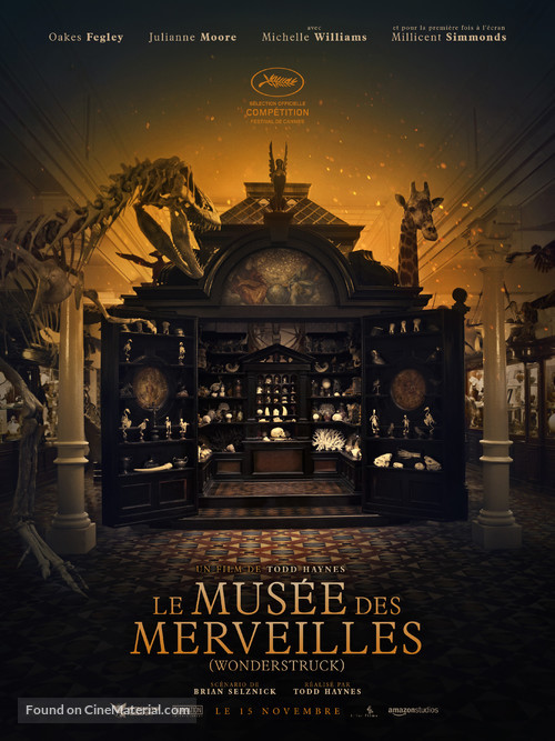 Wonderstruck - French Movie Poster