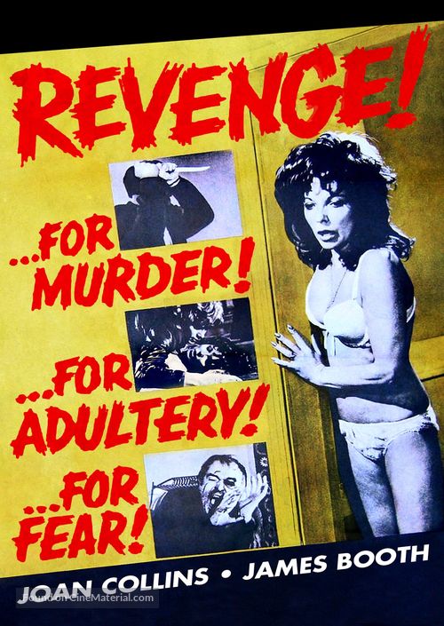Revenge - DVD movie cover