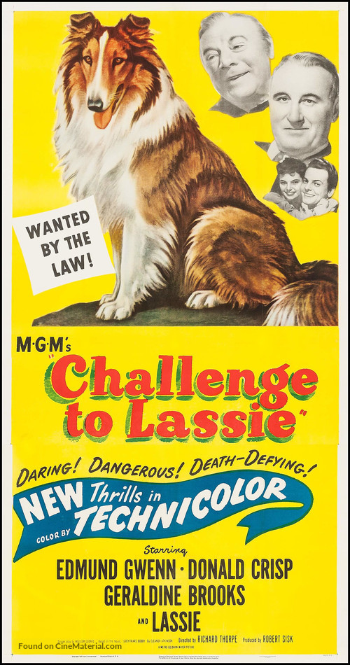 Challenge to Lassie - Movie Poster