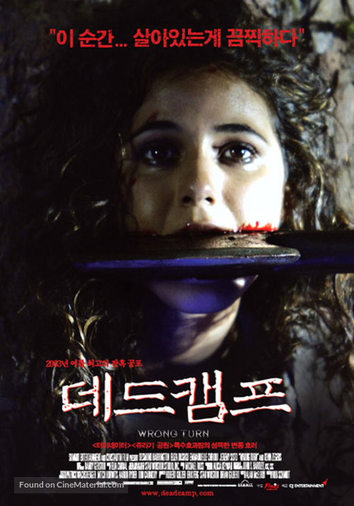 Wrong Turn - South Korean Movie Poster