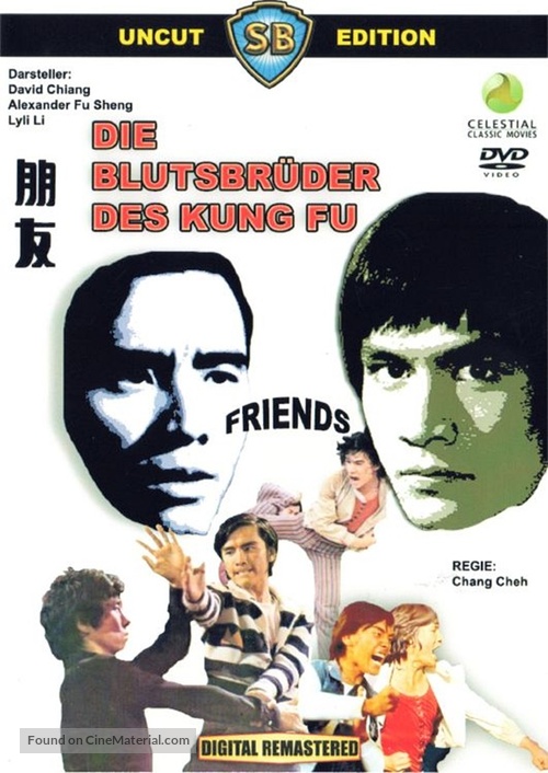 Peng you - German DVD movie cover