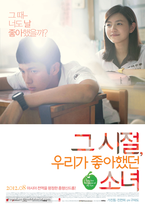 Na Xie Nian, Wo Men Yi Qi Zhui De Nu Hai - South Korean Movie Poster