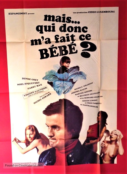 Mais qui donc m&#039;a fait ce b&eacute;b&eacute;? - French Movie Poster