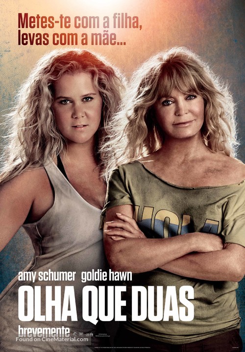 Snatched - Portuguese Movie Poster