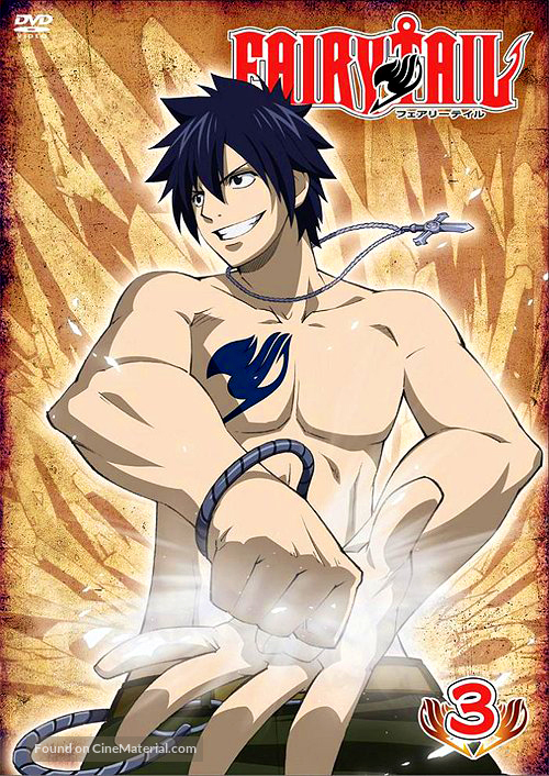 &quot;Fairy Tail&quot; - Japanese DVD movie cover