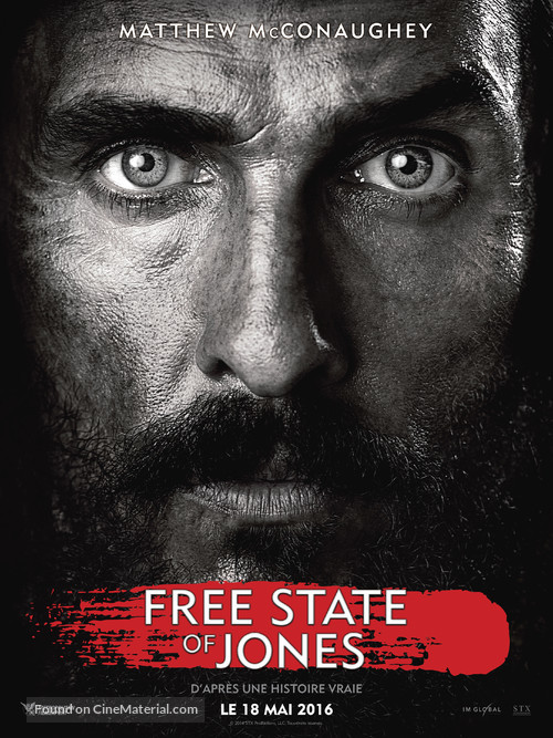 Free State of Jones - French Movie Poster