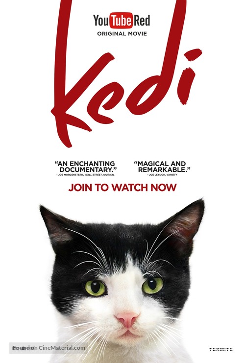 Kedi - Movie Poster