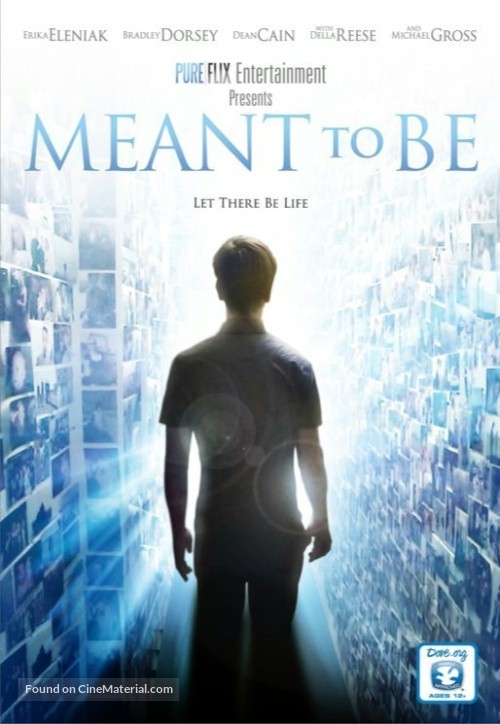 Meant to Be - DVD movie cover