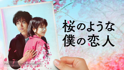 My Dearest, Like a Cherry Blossom - Japanese Video on demand movie cover