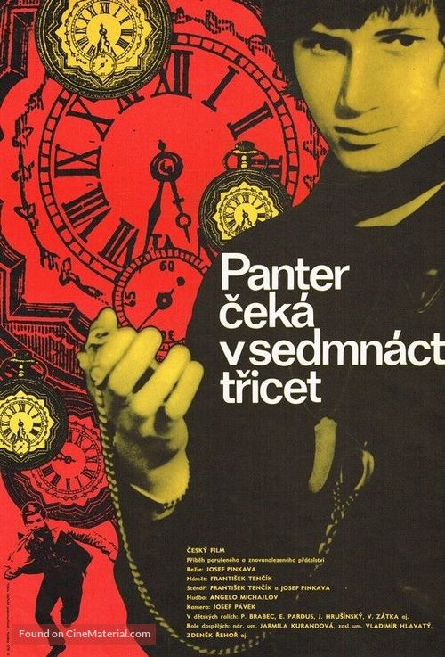 Panter cek&aacute; v 17,30 - Slovak Movie Poster