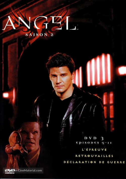 &quot;Angel&quot; - French DVD movie cover