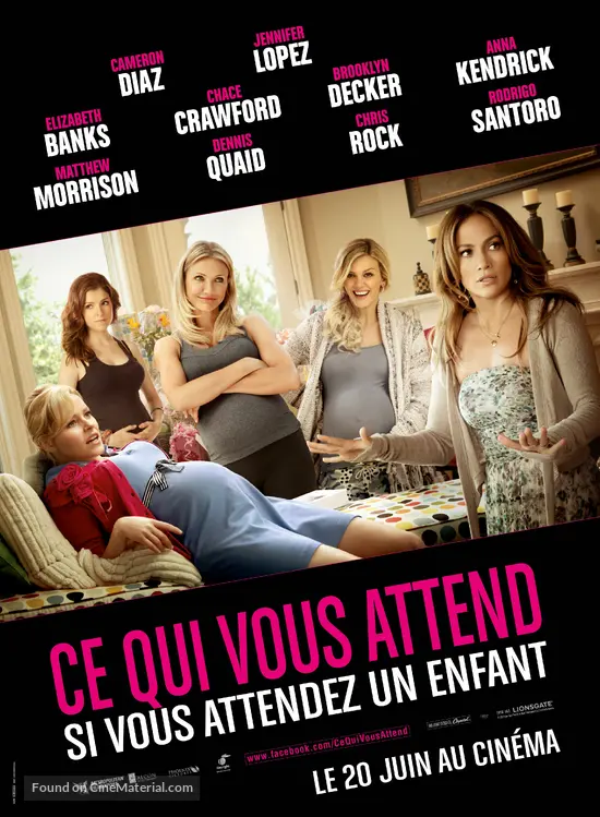 What to Expect When You&#039;re Expecting - French Movie Poster