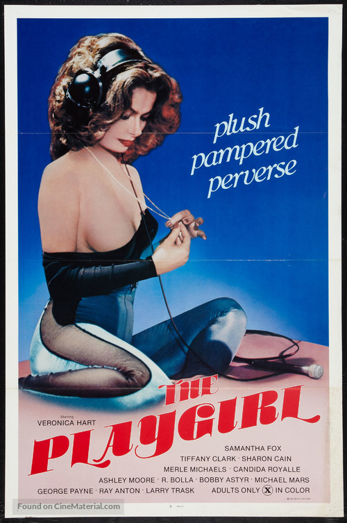 The Playgirl - Movie Poster