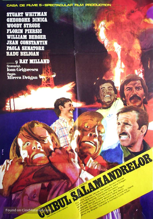 Cuibul salamandrelor - Romanian Movie Poster