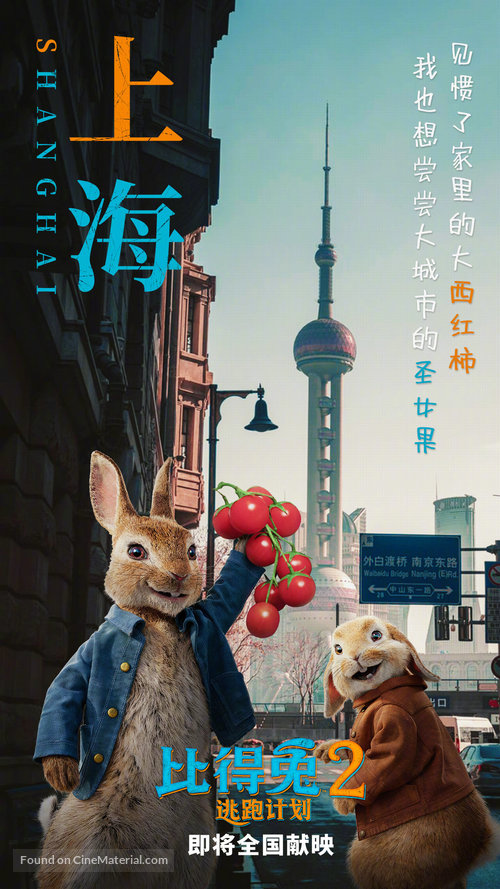 Peter Rabbit 2: The Runaway - Chinese Movie Poster