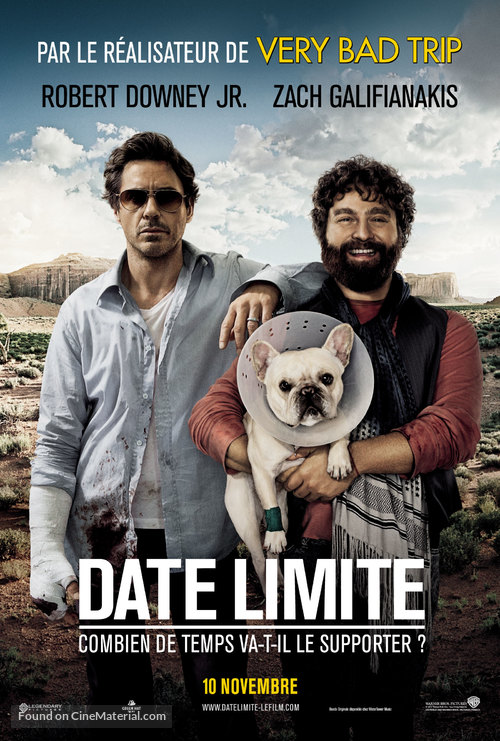 Due Date - French Movie Poster