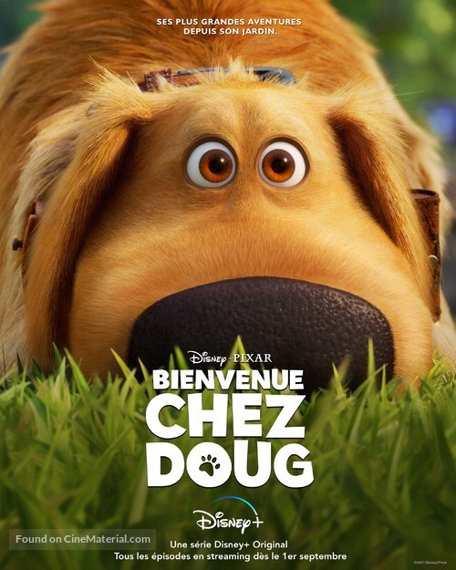 &quot;Dug Days&quot; - French Movie Poster