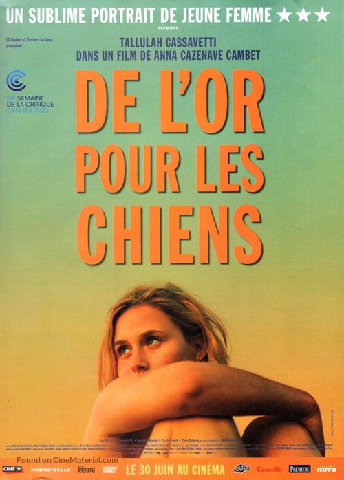 De l&#039;or pour les chiens - French Movie Poster