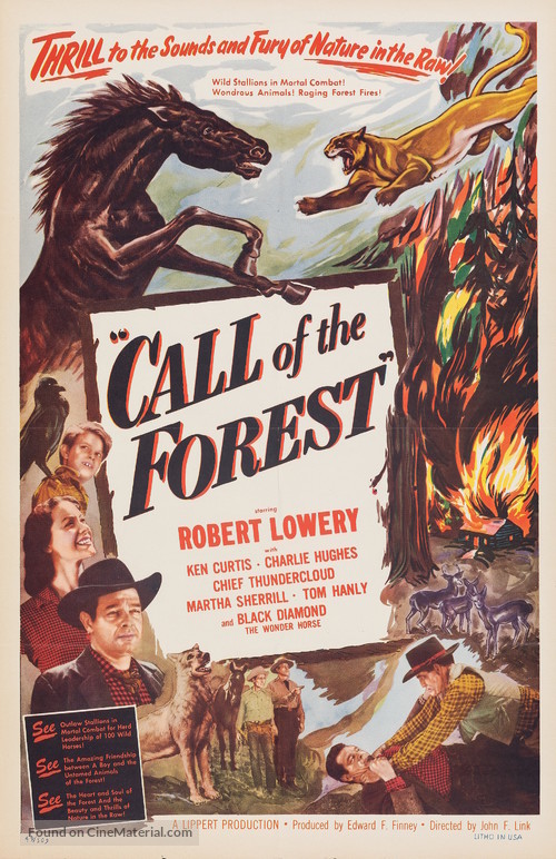 Call of the Forest - Movie Poster