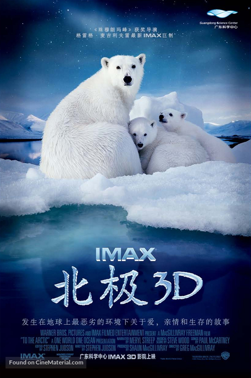 To the Arctic 3D - Taiwanese Movie Poster