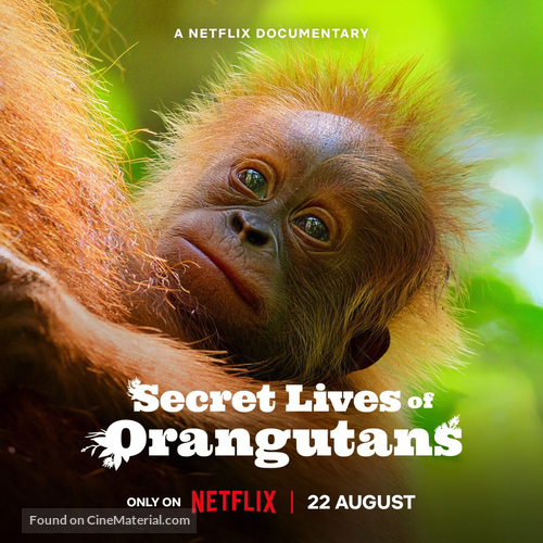 Secret Lives of Orangutans - British Movie Poster