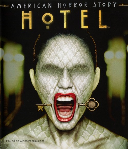 &quot;American Horror Story&quot; - French Blu-Ray movie cover