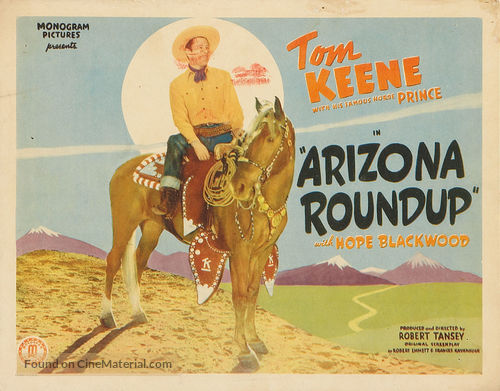 Arizona Roundup - Movie Poster
