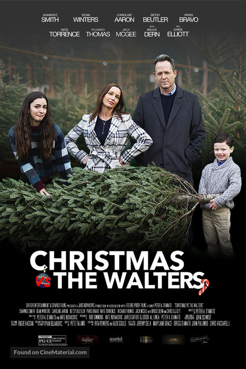 Christmas vs. The Walters - Movie Poster