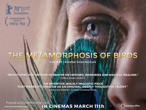 A Metamorfose dos P&aacute;ssaros - British Movie Poster