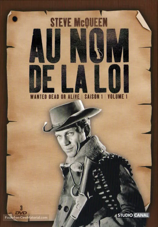 &quot;Wanted: Dead or Alive&quot; - French DVD movie cover