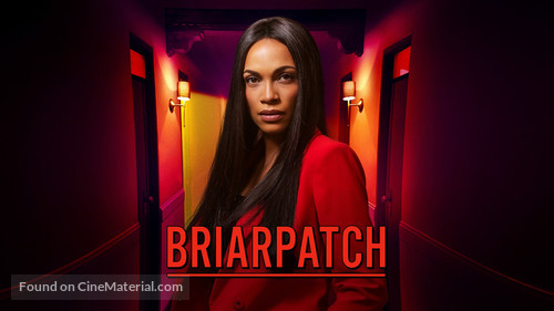 &quot;Briarpatch&quot; - Movie Cover