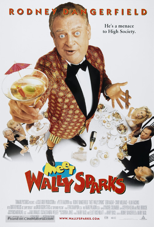 Meet Wally Sparks - poster