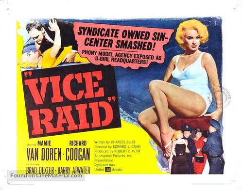 Vice Raid - Movie Poster