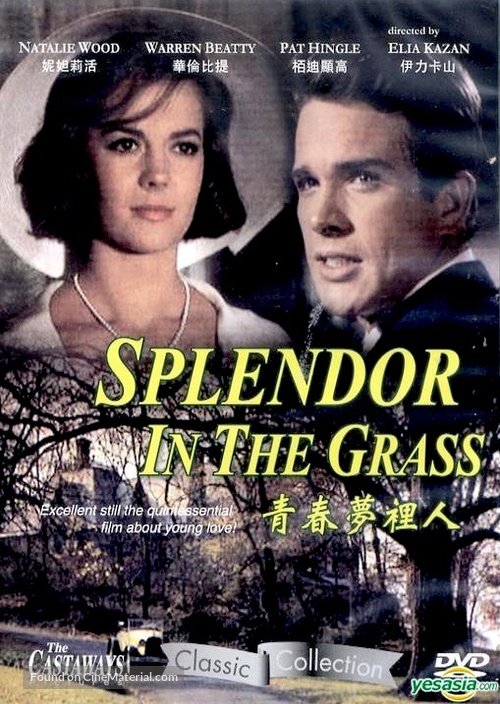 Splendor in the Grass - Chinese DVD movie cover