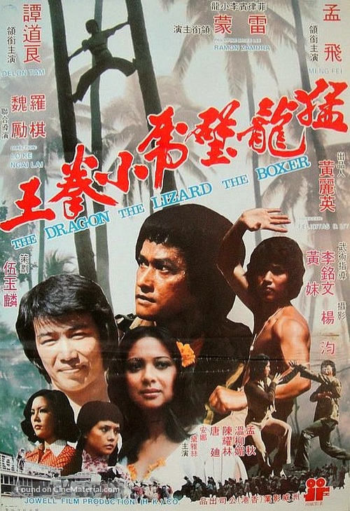 Meng long bi hu xiao quan wang - Hong Kong Movie Poster