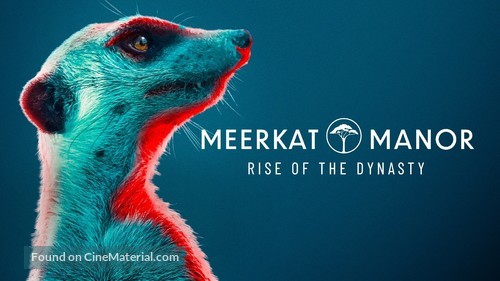 &quot;Meerkat Manor: Rise of the Dynasty&quot; - Movie Cover