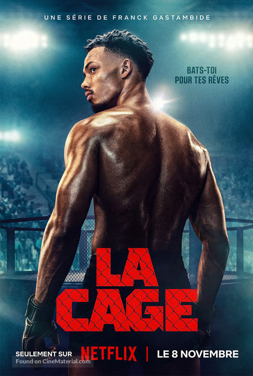 &quot;La Cage&quot; - French Movie Poster