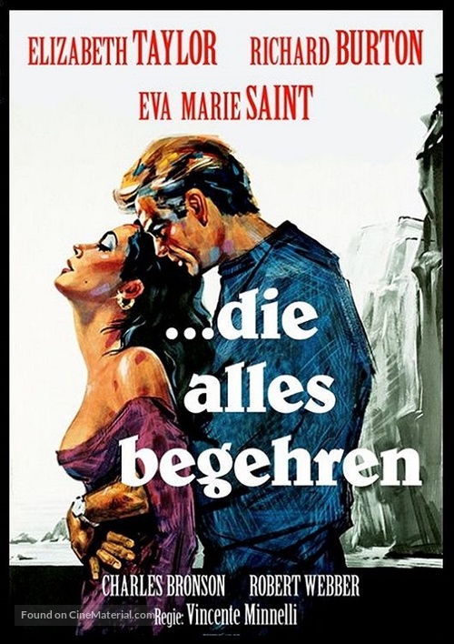The Sandpiper - German DVD movie cover