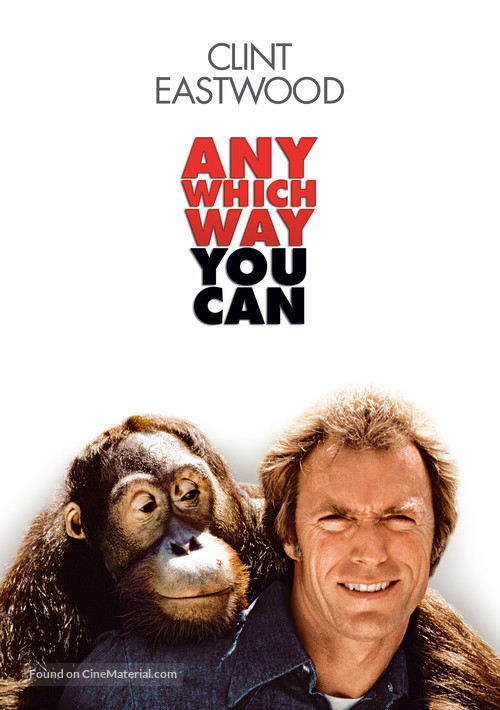 Any Which Way You Can - Movie Cover