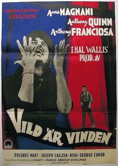 Wild Is the Wind - Swedish Movie Poster