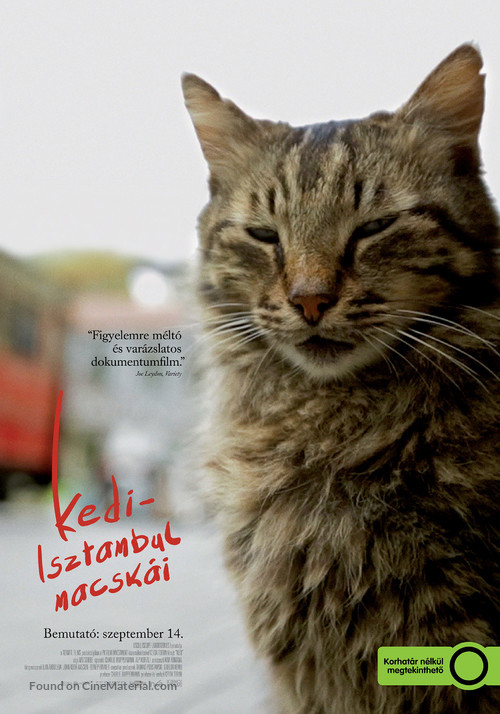 Kedi - Hungarian Movie Poster