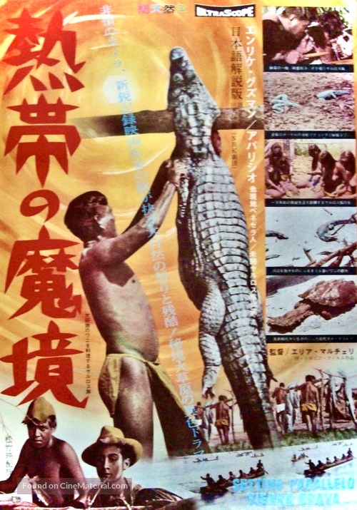 S&eacute;ptimo paralelo - Japanese Movie Poster