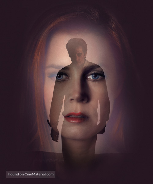 Nocturnal Animals - Key art