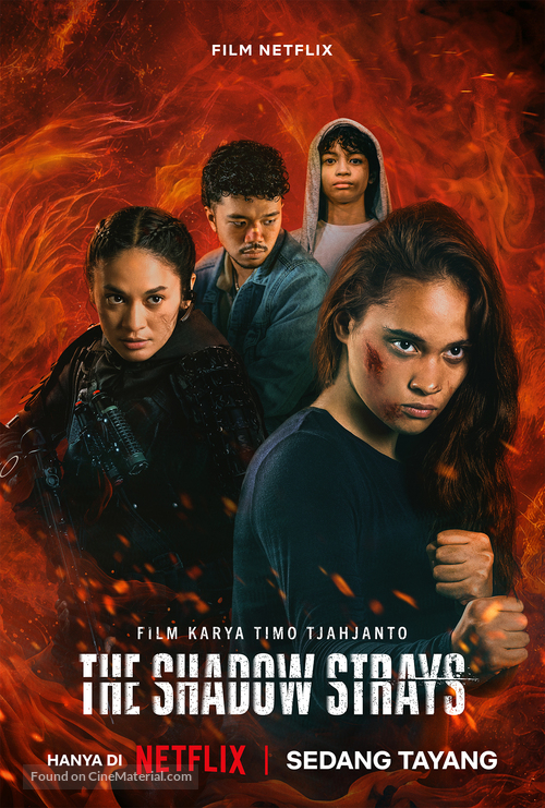 The Shadow Strays - Indonesian Movie Poster