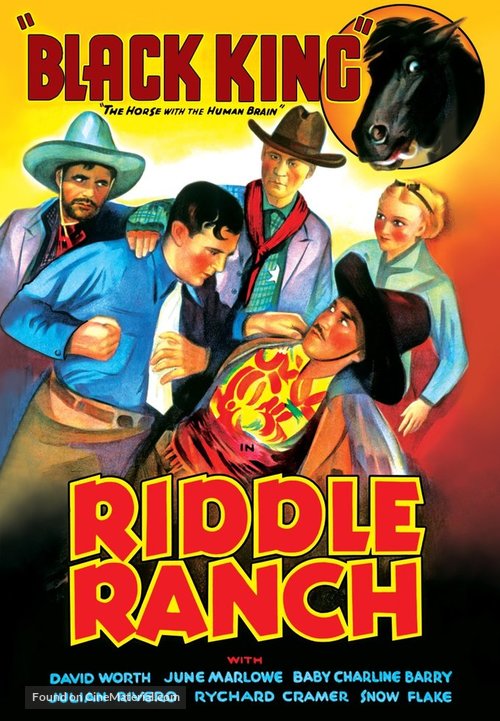 Riddle Ranch - DVD movie cover