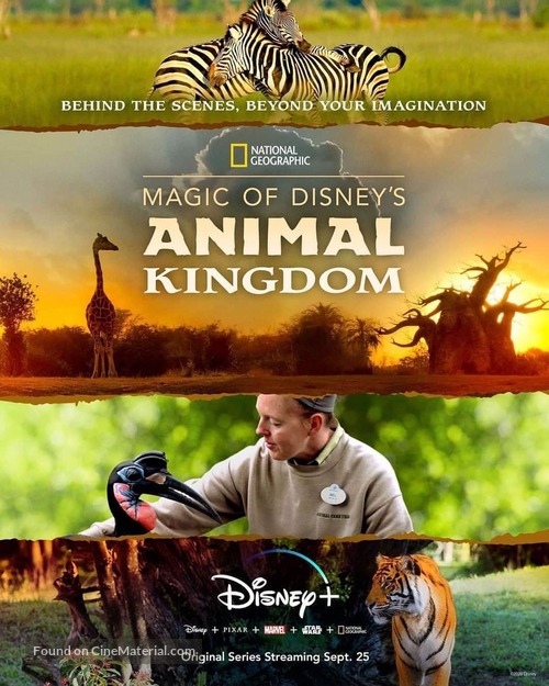 &quot;Magic of Disney&#039;s Animal Kingdom&quot; - Movie Poster