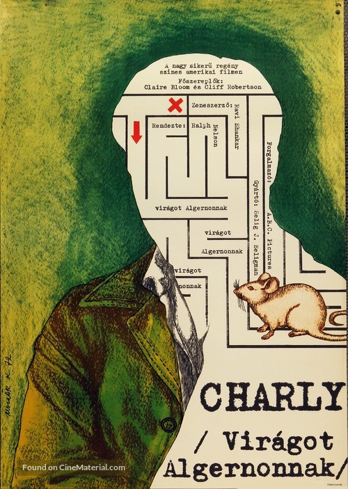 Charly - Hungarian Movie Poster